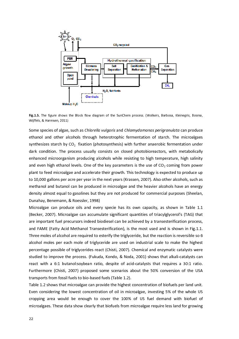 Anteprima della tesi: Protein separation and characterization from Neochloris Oleoabundans, Pagina 7