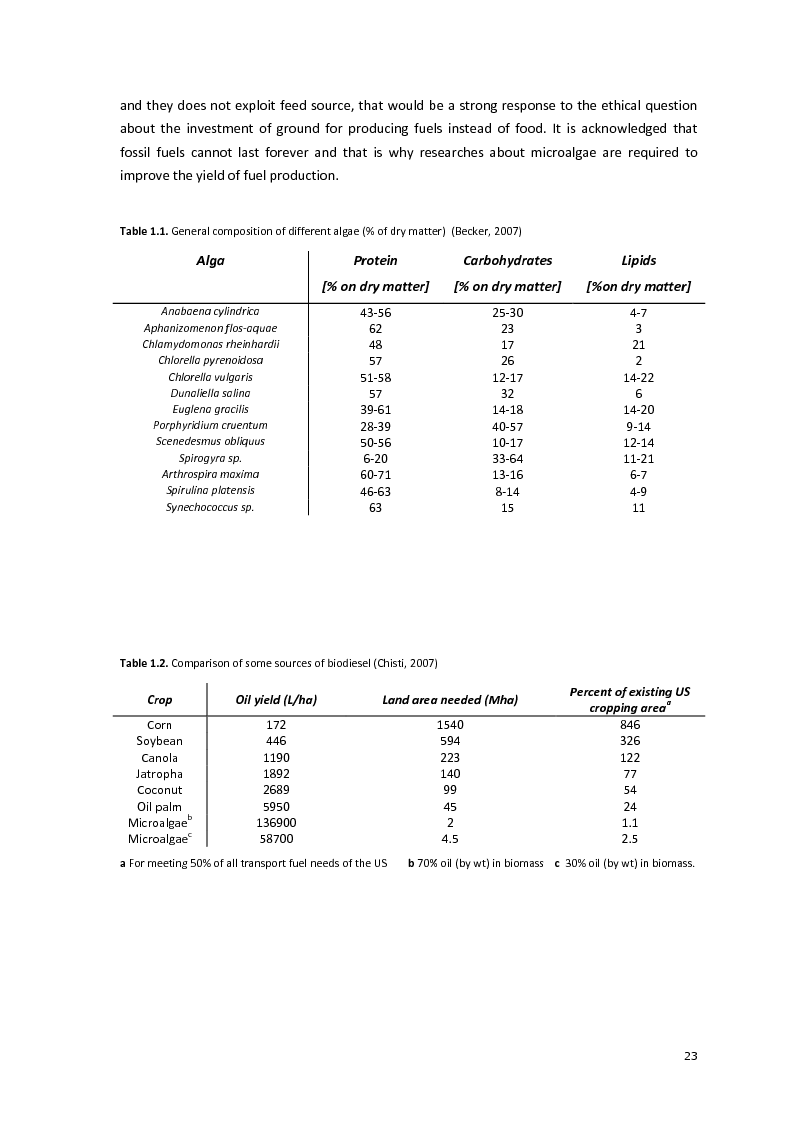 Anteprima della tesi: Protein separation and characterization from Neochloris Oleoabundans, Pagina 8