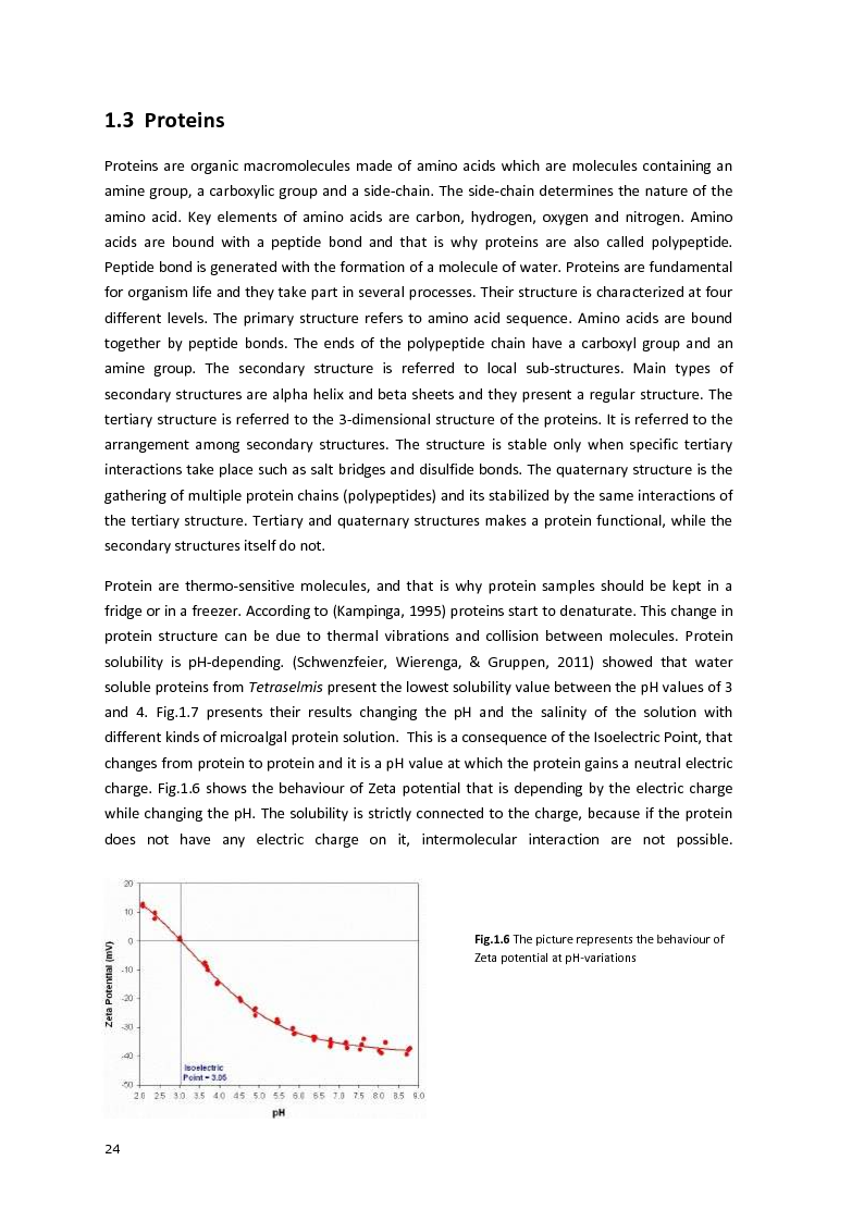 Anteprima della tesi: Protein separation and characterization from Neochloris Oleoabundans, Pagina 9
