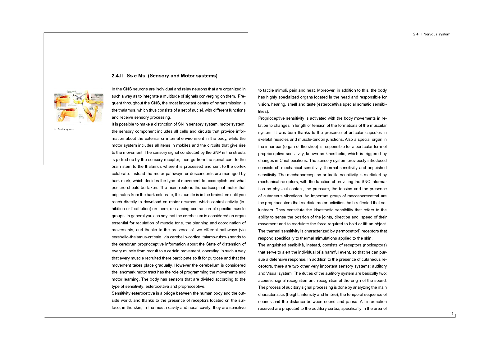 Estratto dalla tesi: I am Multisensorial, the Contribution of Designin to Child Neurorehabilitation