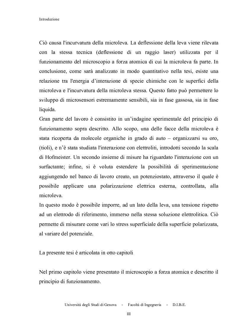 Anteprima della tesi: Utilizzo di microleve in silicio per applicazioni biosensoristiche, Pagina 3