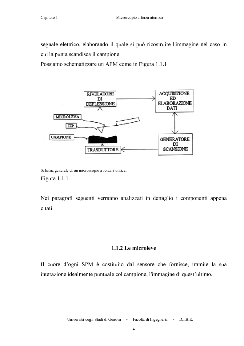 Anteprima della tesi: Utilizzo di microleve in silicio per applicazioni biosensoristiche, Pagina 8