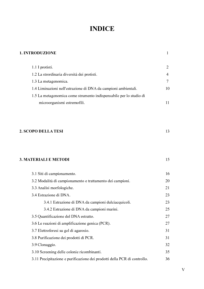 Indice della tesi: Un approccio metagenomico per studiare comunità naturali di protisti a vita libera., Pagina 1
