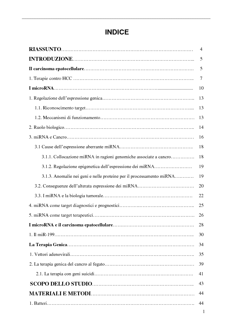 Indice della tesi: Sviluppo e caratterizzazione di un Adenovirus oncolitico replicativo dipendente dal micro-RNA-199 per la Terapia dell'epatocarcinoma, Pagina 1