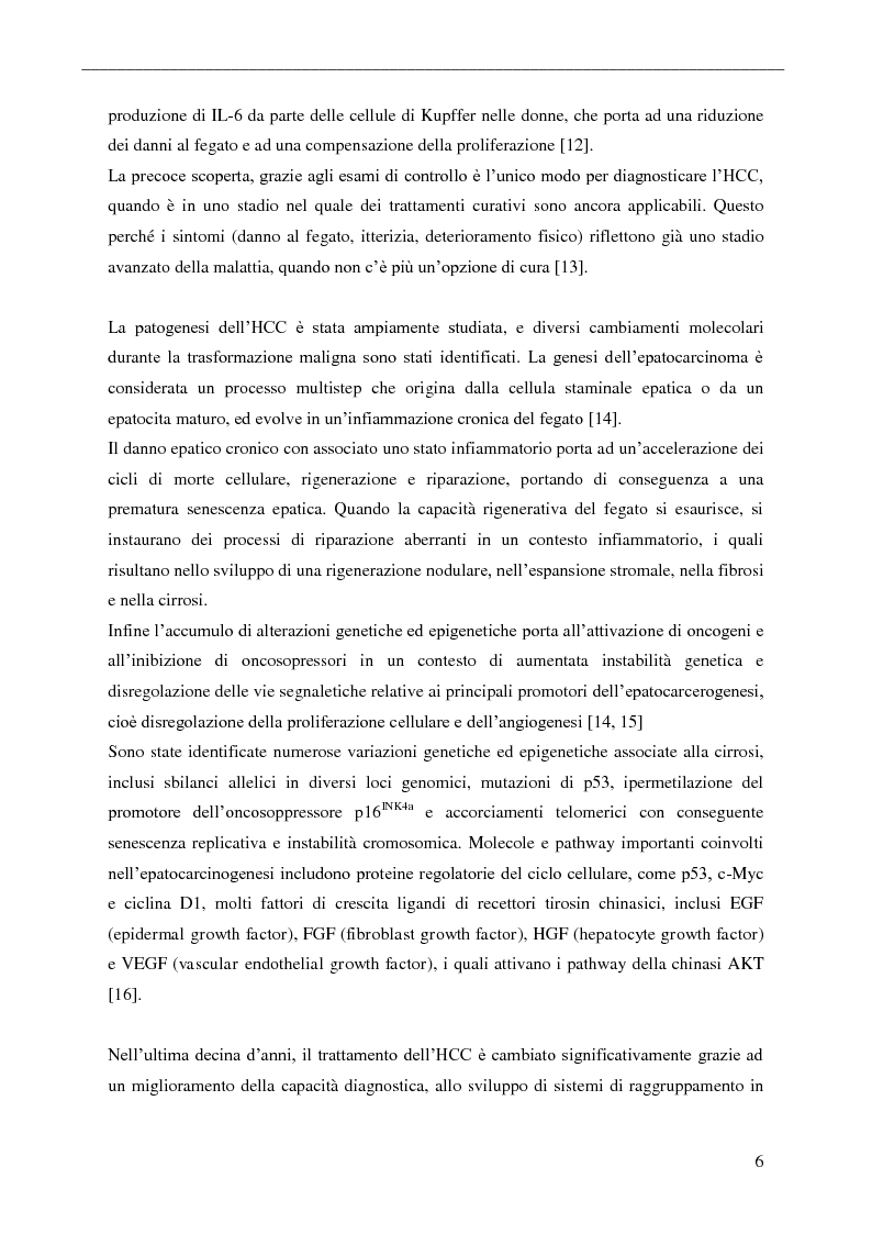 Anteprima della tesi: Sviluppo e caratterizzazione di un Adenovirus oncolitico replicativo dipendente dal micro-RNA-199 per la Terapia dell'epatocarcinoma, Pagina 3