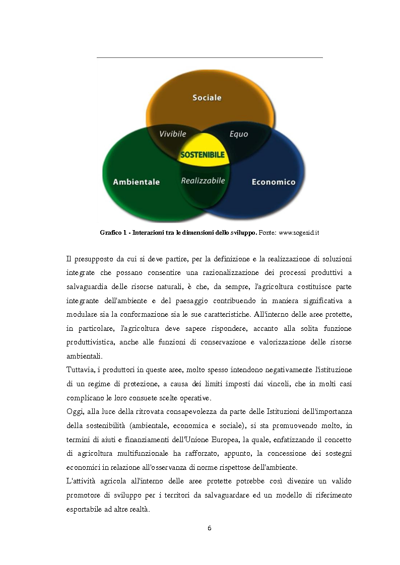 Anteprima della tesi: La sostenibilità economica per le imprese agricole nelle aree protette, Pagina 4