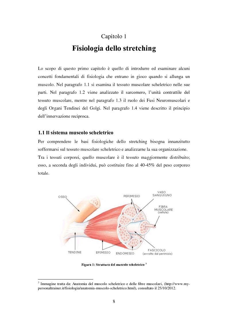Anteprima della tesi: Lo stretching: prevenzione degli infortuni muscolari e prestazione sportiva, Pagina 4