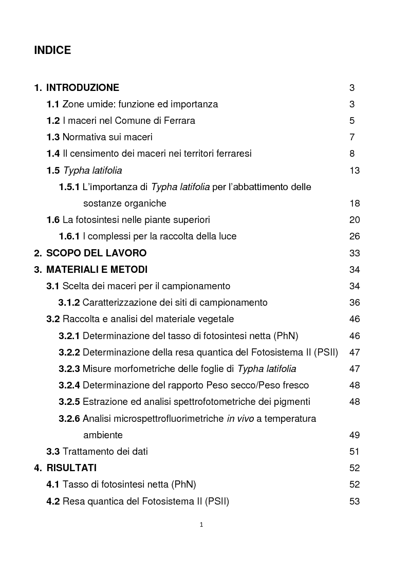 Indice della tesi: Studio dei parametri fotosintetici di Typha latifolia presente nella vegetazione ripariale di maceri del Comune di Ferrara, Pagina 1