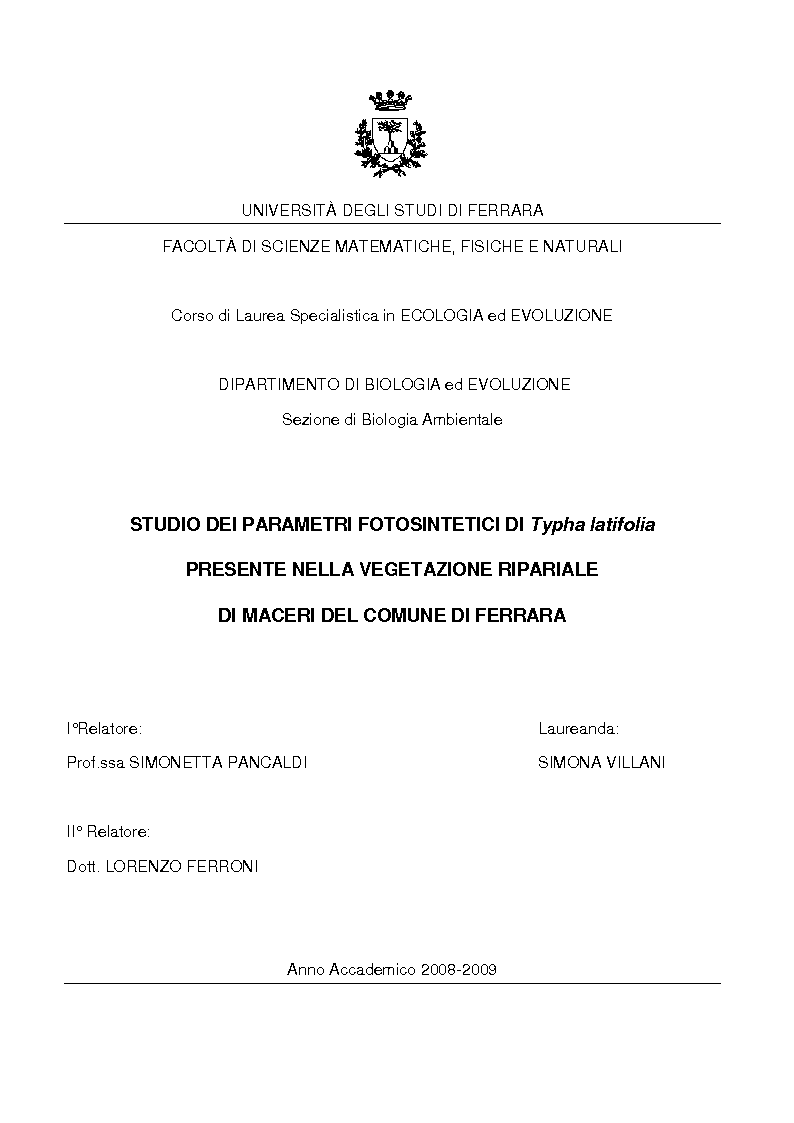 Anteprima della tesi: Studio dei parametri fotosintetici di Typha latifolia presente nella vegetazione ripariale di maceri del Comune di Ferrara, Pagina 1