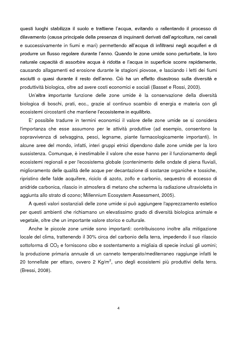 Anteprima della tesi: Studio dei parametri fotosintetici di Typha latifolia presente nella vegetazione ripariale di maceri del Comune di Ferrara, Pagina 3