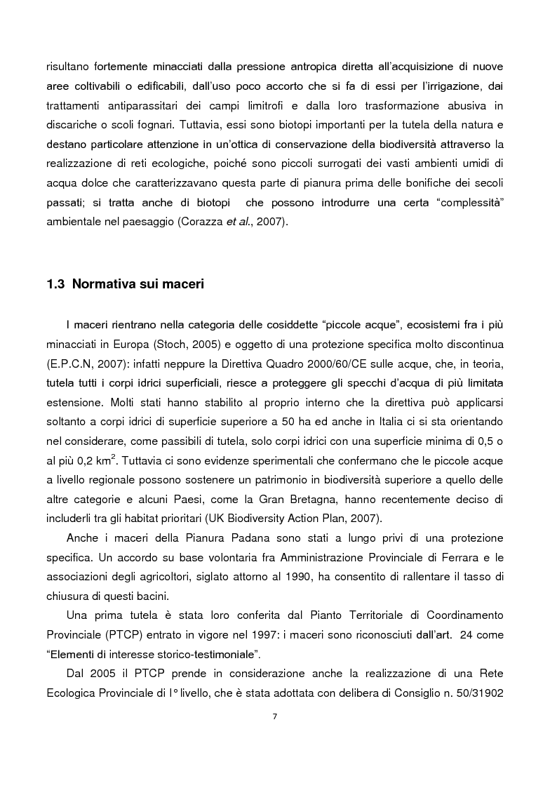 Anteprima della tesi: Studio dei parametri fotosintetici di Typha latifolia presente nella vegetazione ripariale di maceri del Comune di Ferrara, Pagina 6