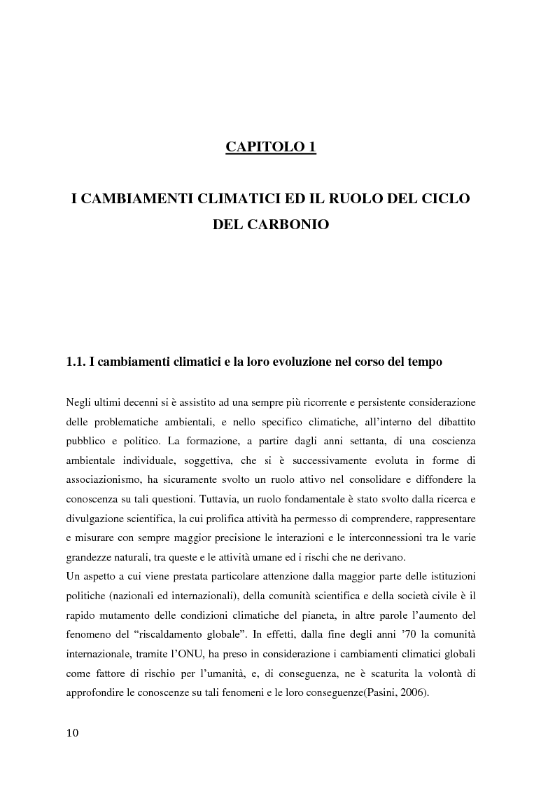 Anteprima della tesi: CO2 di origine biogenica ed effetto serra: valutazione del ciclo di vita dei prodotti in legno, Pagina 7