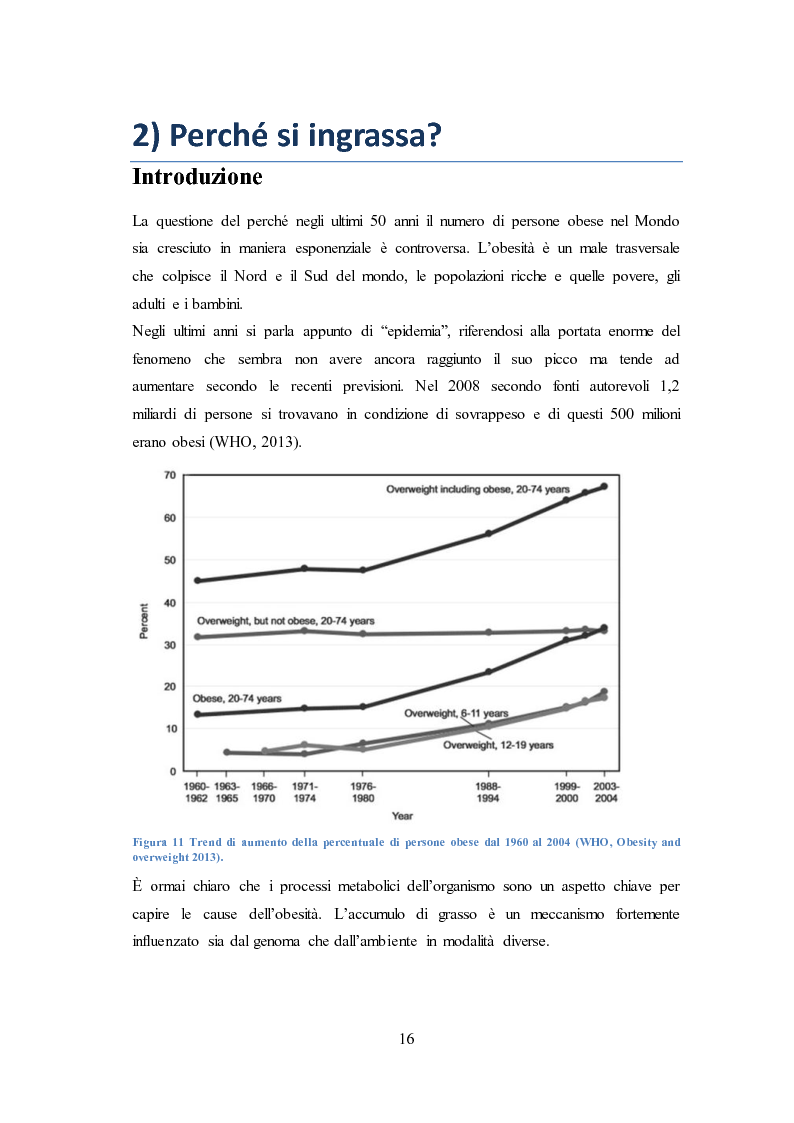Anteprima della tesi: Valutazione del calo ponderale indotto da una dieta mediterranea ipocalorica rispetto ad una dieta iperproteica chetogenica, Pagina 10