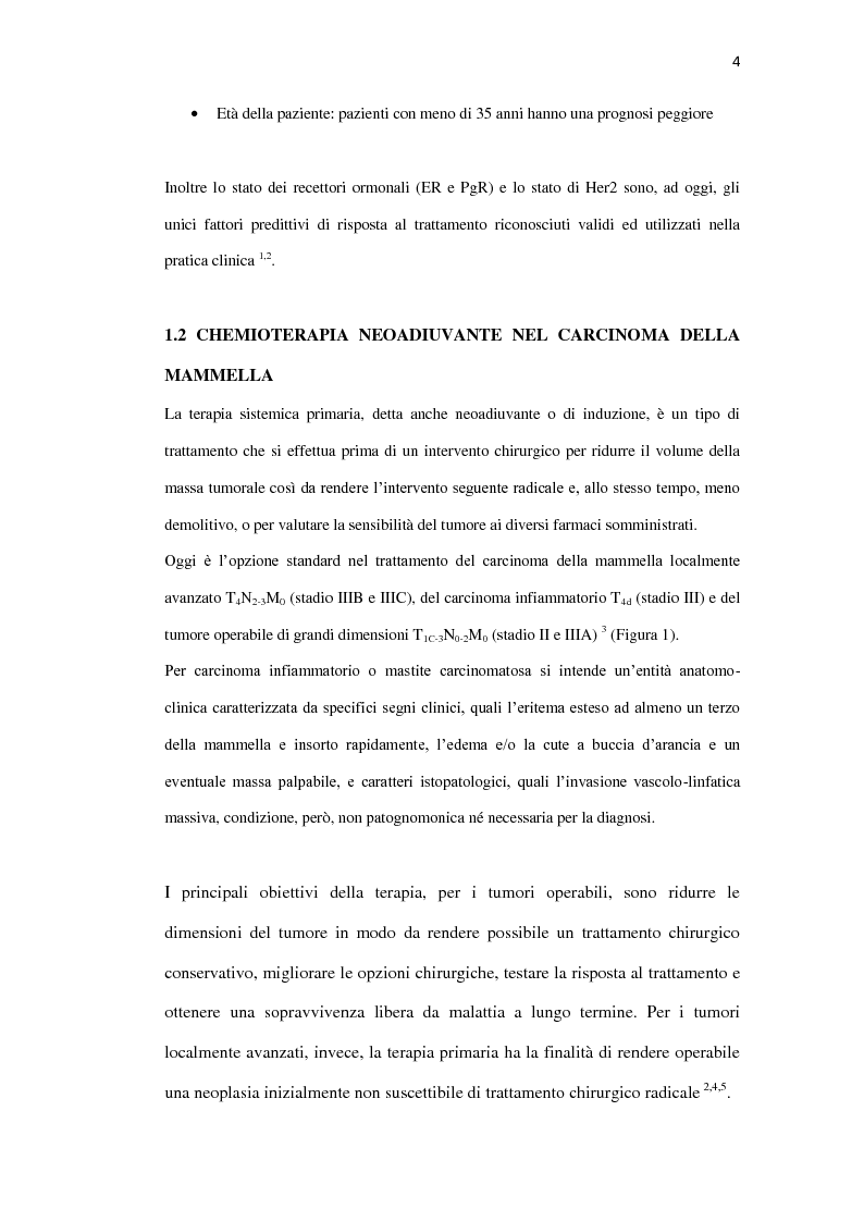Anteprima della tesi: Ruolo dell'espressione di Hsp90, ki67 e dell'amplificazione di topoisomerasi 2 come fattori predittivi di risposta completa patologica al trattamento con chemioterapia di induzione in associazione a trastuzumab in pazienti con carcinoma della mammella operabile o localmente avanzato, Pagina 5