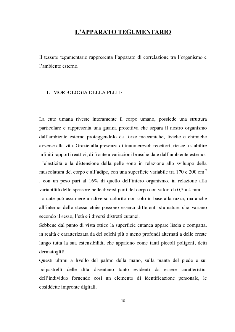 Anteprima della tesi: I prodotti cosmetici destinati alla protezione solare: caratteristiche, formulazioni ed interazioni con la pelle, Pagina 4