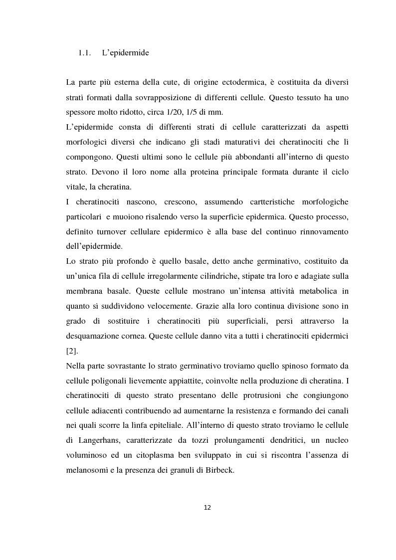 Anteprima della tesi: I prodotti cosmetici destinati alla protezione solare: caratteristiche, formulazioni ed interazioni con la pelle, Pagina 6