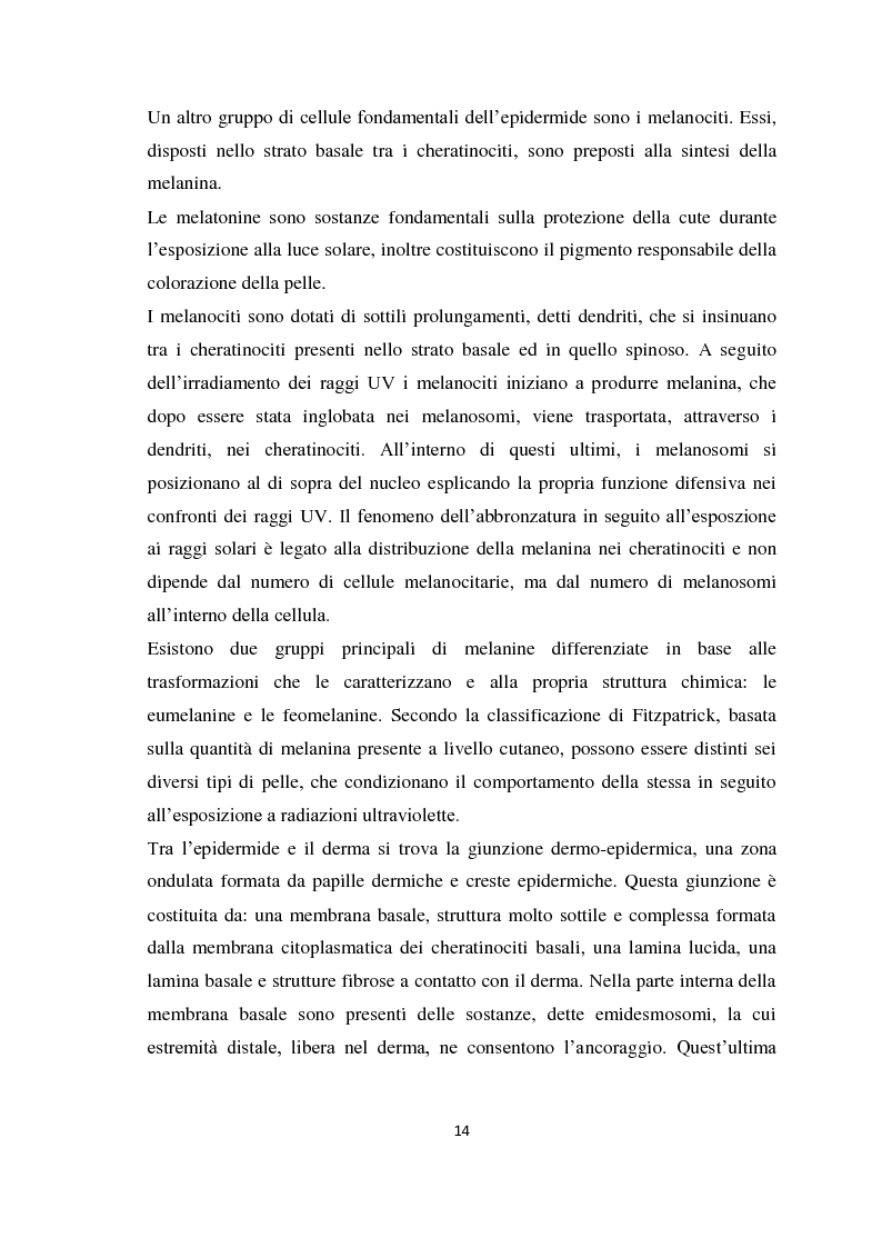 Anteprima della tesi: I prodotti cosmetici destinati alla protezione solare: caratteristiche, formulazioni ed interazioni con la pelle, Pagina 8