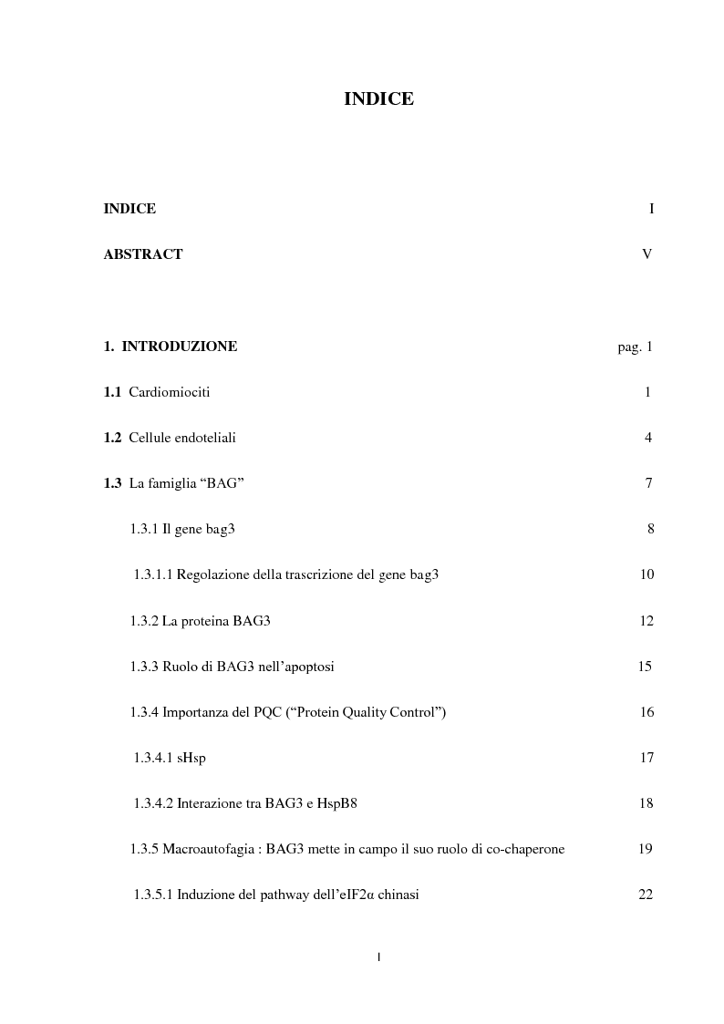 Indice della tesi: Stress cardiovascolare: modulazione della proteina BAG3, Pagina 1