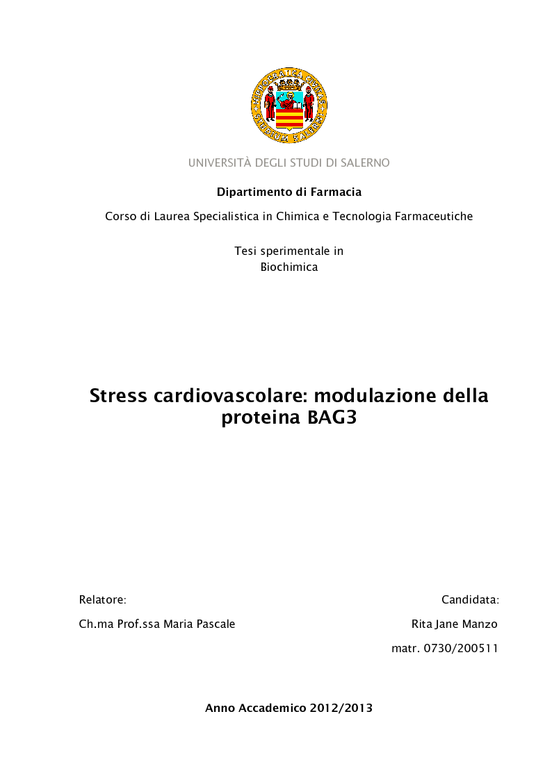 Anteprima della tesi: Stress cardiovascolare: modulazione della proteina BAG3, Pagina 1