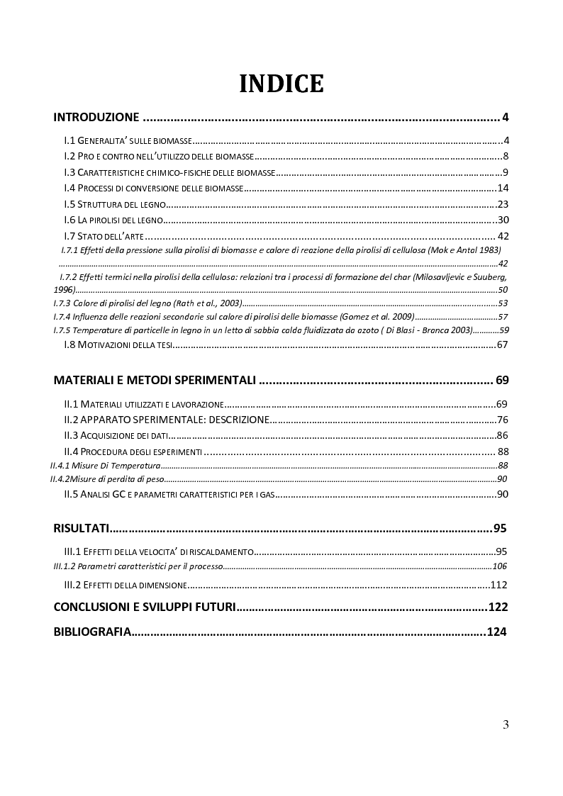 Indice della tesi: Analisi degli effetti del calore di reazione nella pirolisi del legno, Pagina 1