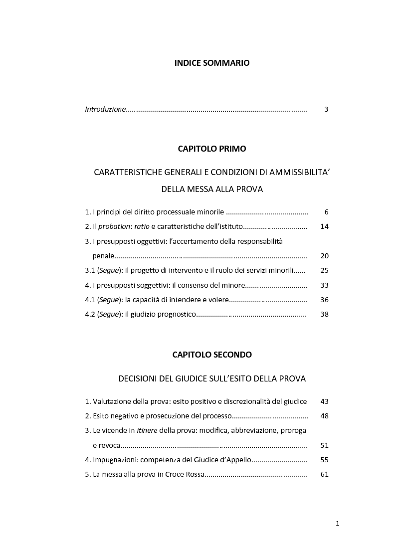 Indice della tesi: La sospensione del processo e messa alla prova dell'imputato minorenne, Pagina 1