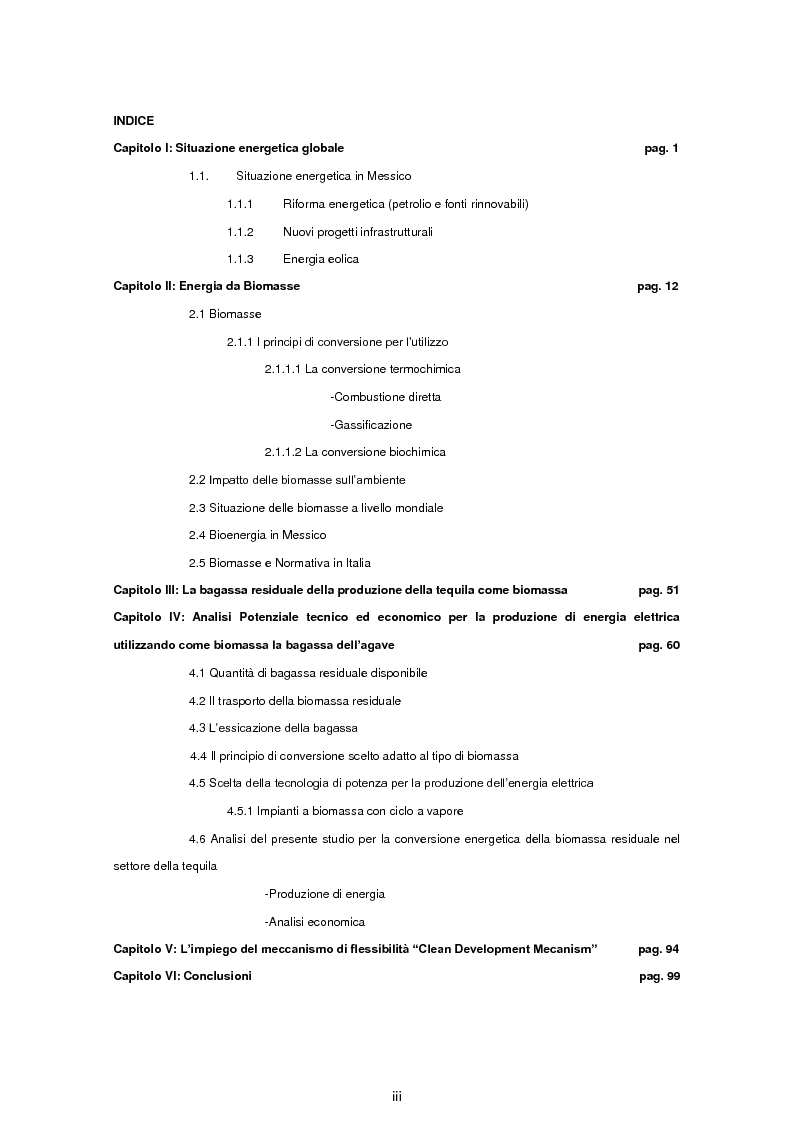 Indice della tesi: Valutazione del potenziale tecnico ed economico per la produzione di energia elettrica, sfruttando la biomassa residuale del settore della tequila, Pagina 1
