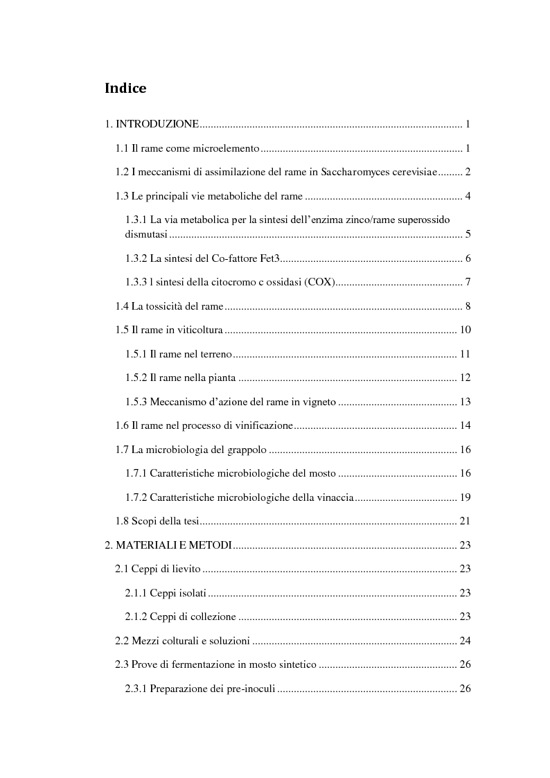 Indice della tesi: Effetto di rame e pH sulla crescita di lieviti Saccharomyces isolati da mosto e vinaccia in fermentazione, Pagina 1