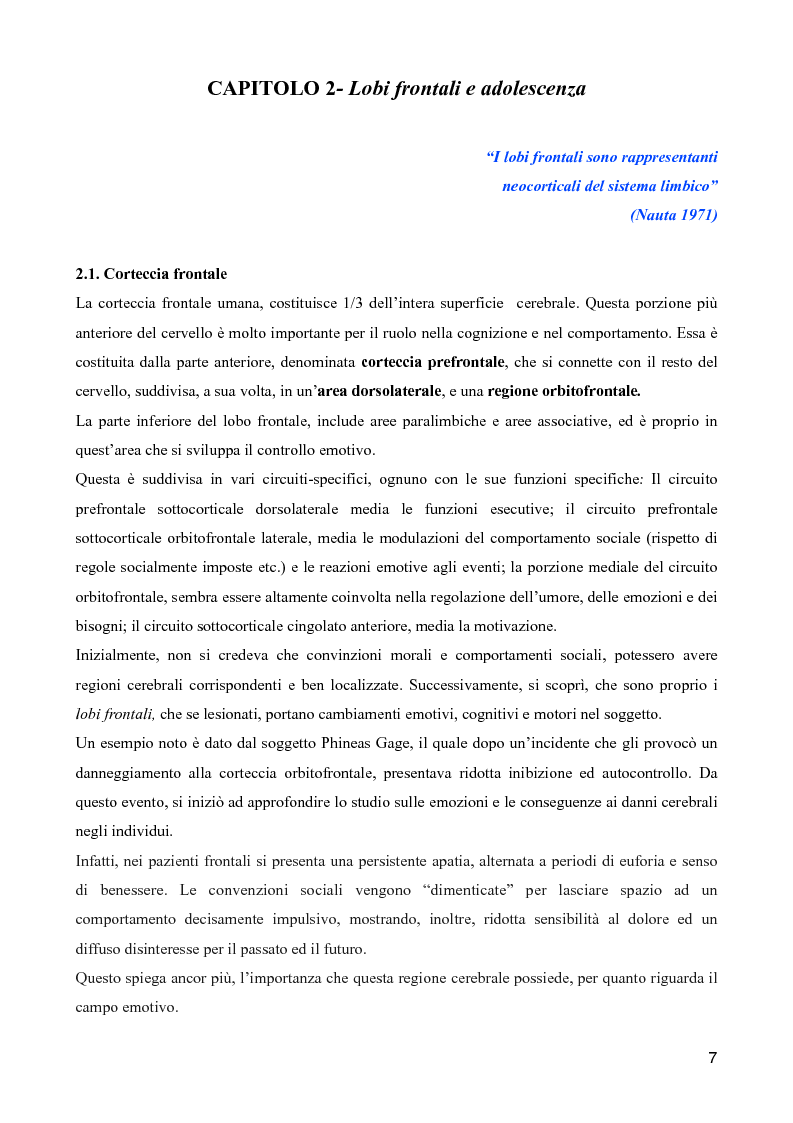 Estratto dalla tesi: Il neurosviluppo nell'adolescenza - Connettività neurale e sviluppo cognitivo