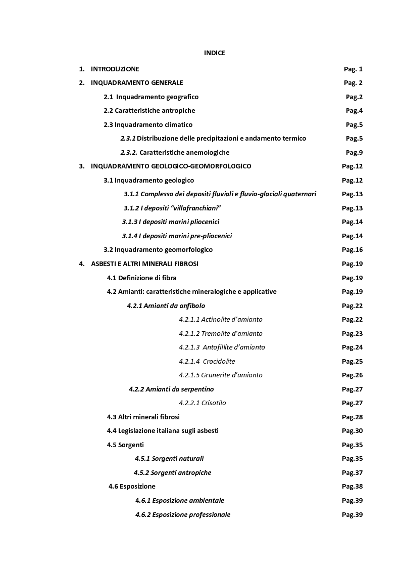 Indice della tesi: Inquinamento ambientale da fibre e particelle inorganiche nel territorio di Vercelli, Pagina 1