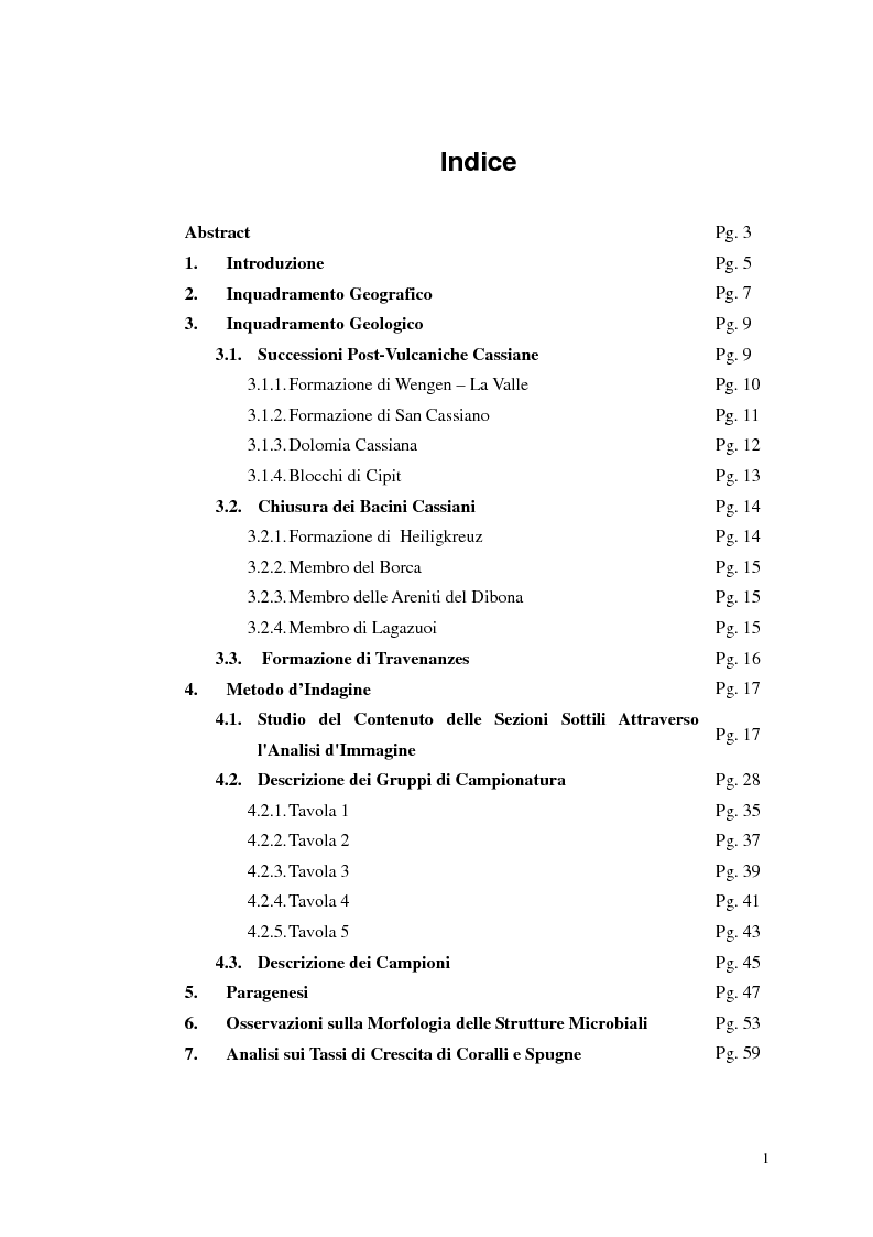 Indice della tesi: Studio petrografico e paleoecologico delle biocostruzioni carbonatiche carniche della zona di Cortina d'Ampezzo (Belluno), Pagina 1