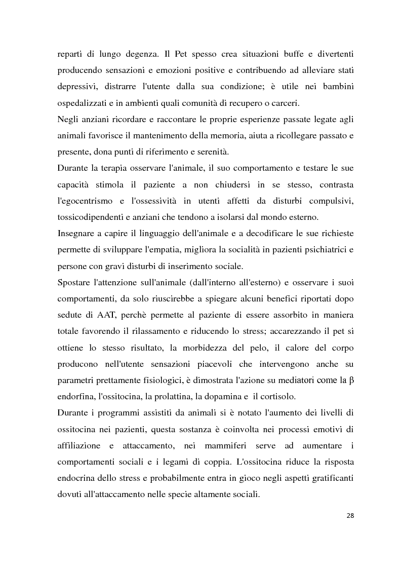 Estratto dalla tesi: Progettazione e programmazione di un intervento assistito dagli animali