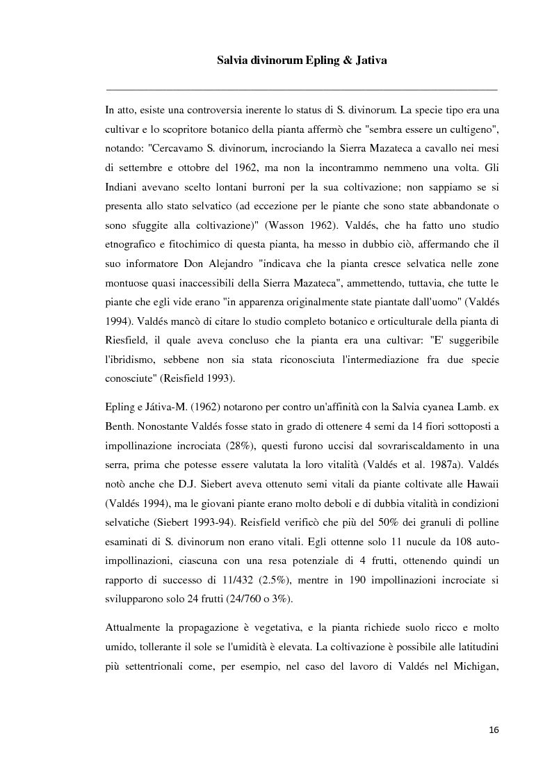 Estratto dalla tesi: Salvia divinorum Epling & Jativa: un enigma farmaco-botanico