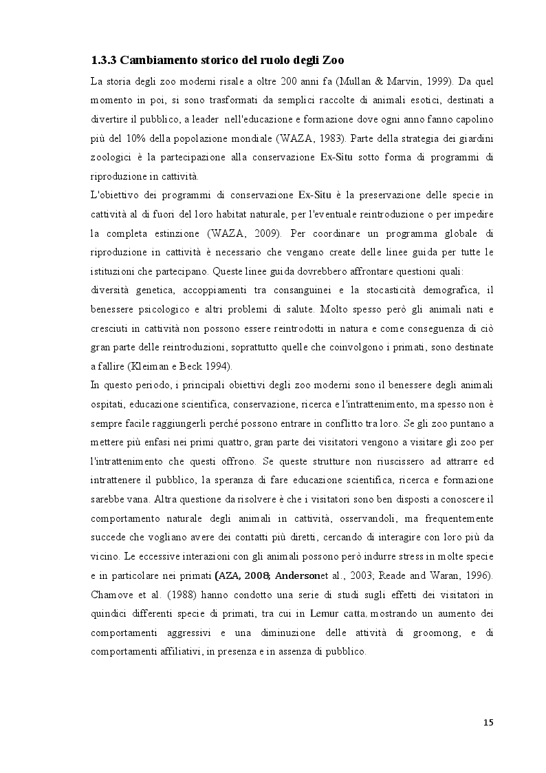 Estratto dalla tesi: L'effetto dei visitatori sul comportamento di Lemur catta in un'area 'walk-through'
