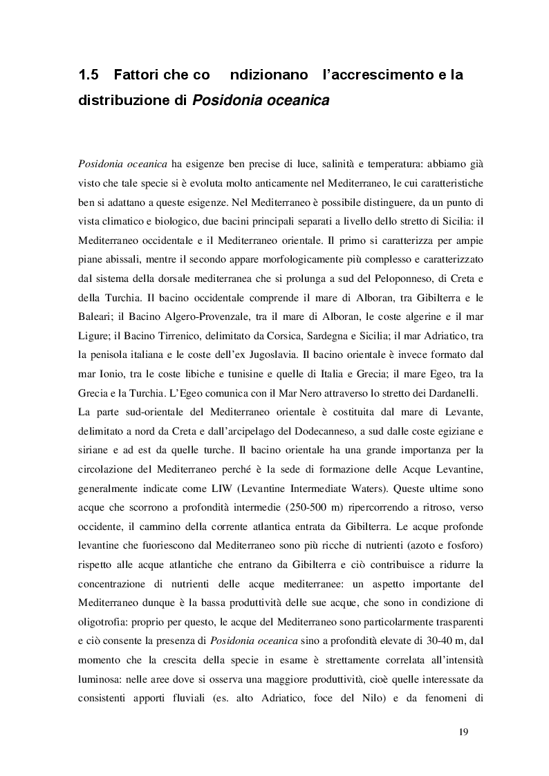 Estratto dalla tesi: Fioriture di Posidonia oceanica (L.) Delile nel bacino del Mediterraneo