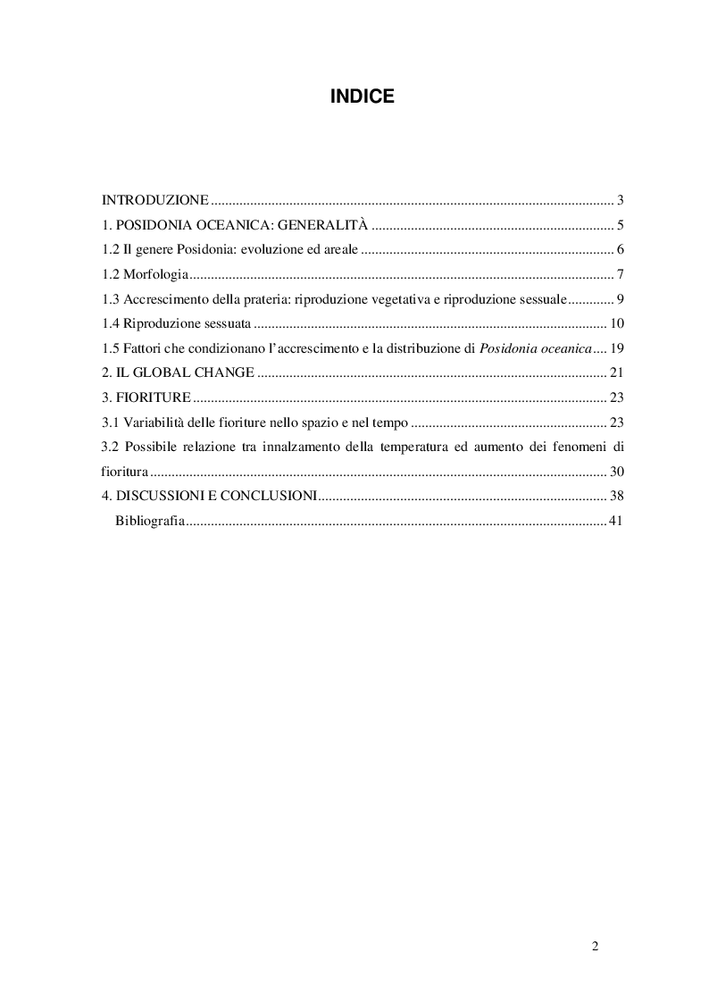 Indice della tesi: Fioriture di Posidonia oceanica (L.) Delile nel bacino del Mediterraneo, Pagina 1