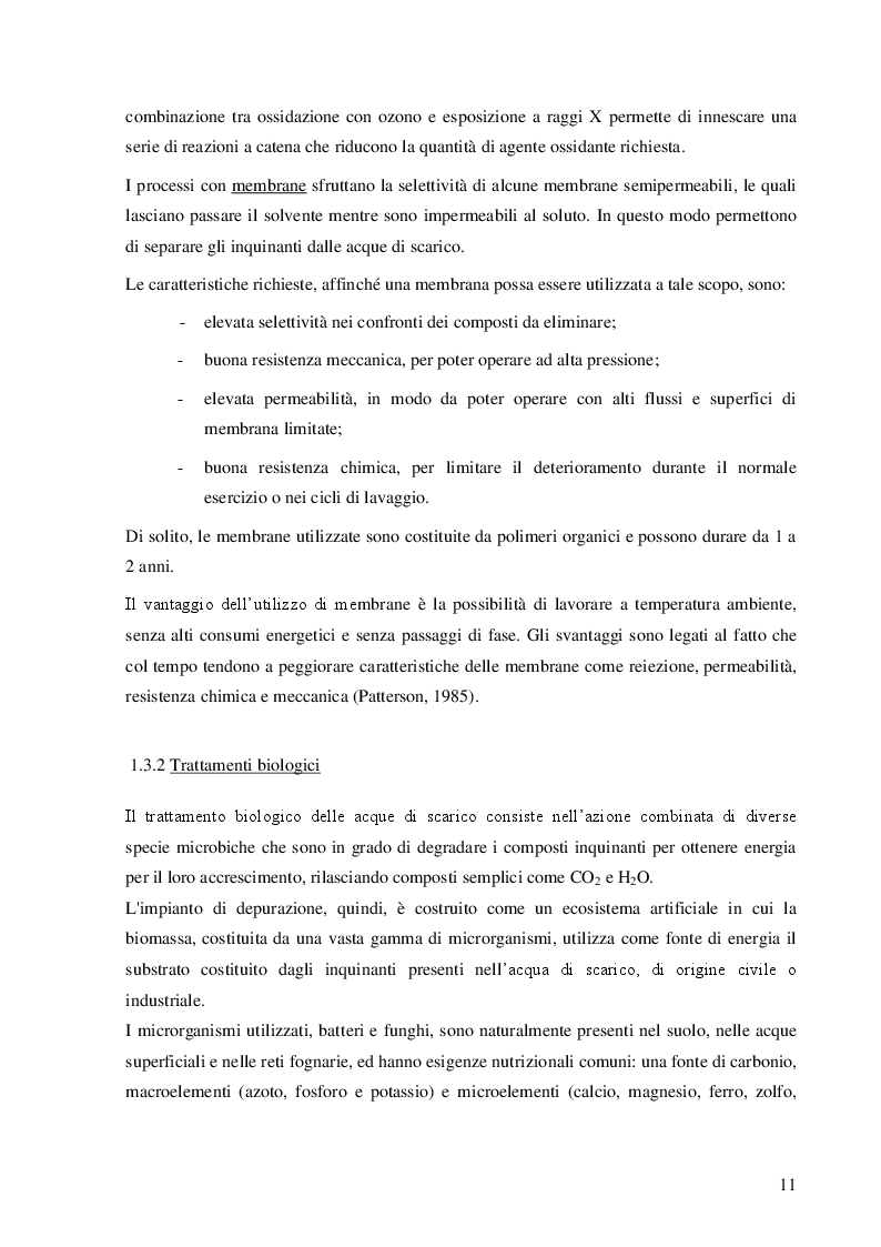Estratto dalla tesi: Reattori sequenziali a doppia fase per la rimozione biologica di composti xenobiotici. Caso di studio: 4-nitrofenolo.