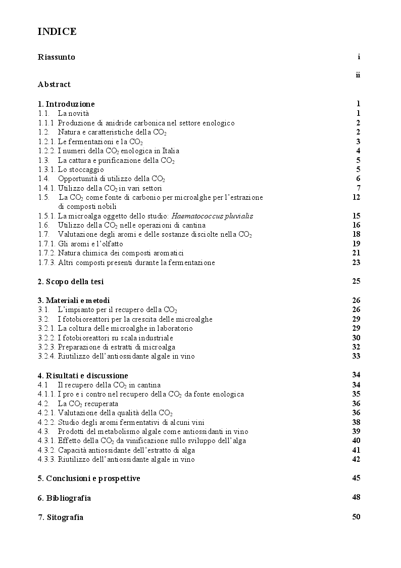 Indice della tesi: Il recupero e il riutilizzo della CO2 da fermentazione alcolica: uno studio di fattibilità, Pagina 1