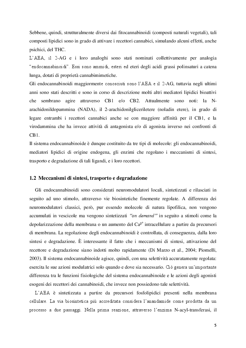 Estratto dalla tesi: Ruolo del sistema endocannabinoide nel controllo del metabolismo energetico