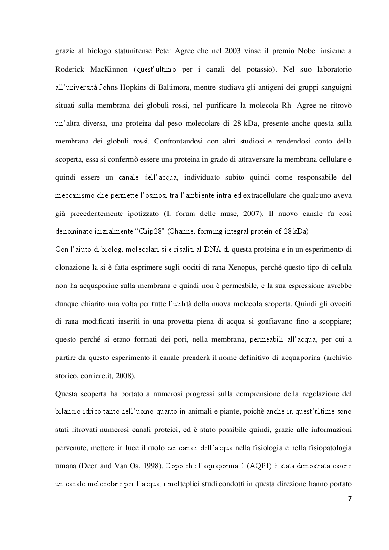 Estratto dalla tesi: Idratazione e Funzioni Cognitive