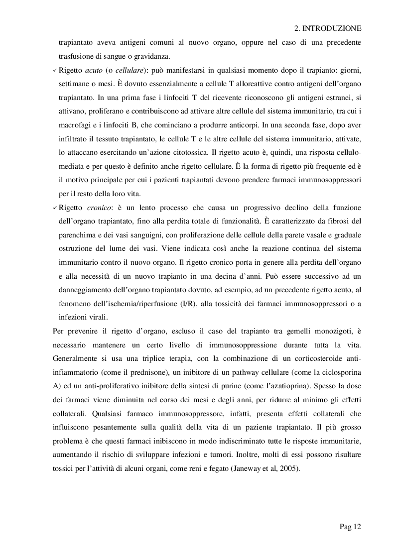 Estratto dalla tesi: Survivin protegge il rene trapiantato dai danni da ischemia/riperfusione (I/R)
