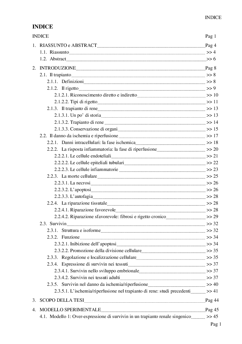 Indice della tesi: Survivin protegge il rene trapiantato dai danni da ischemia/riperfusione (I/R), Pagina 1