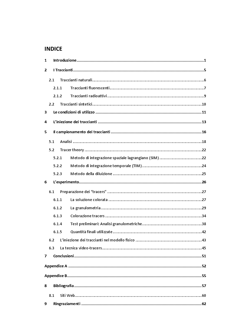 Indice della tesi: La tecnica dei traccianti per l'individuazione del trasporto sedimentario nell'ingegneria idraulica costiera, Pagina 1