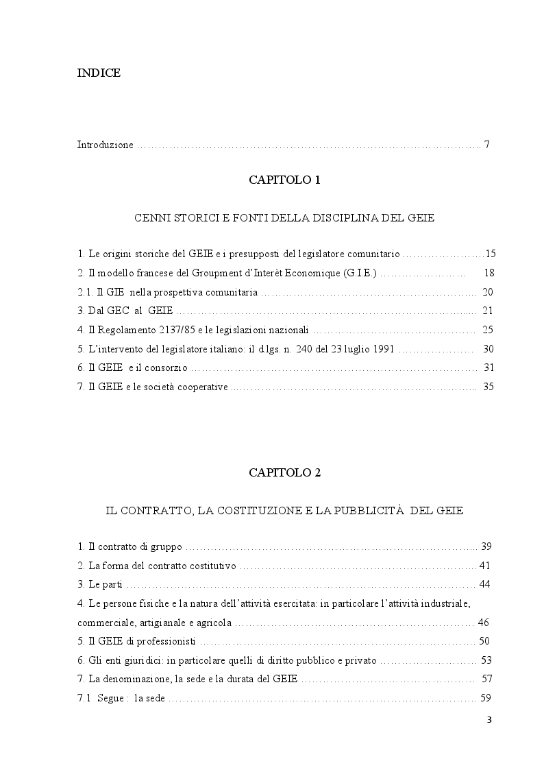 Indice della tesi: IL G.E.I.E. Gruppo Europeo di Interesse Economico, Pagina 1