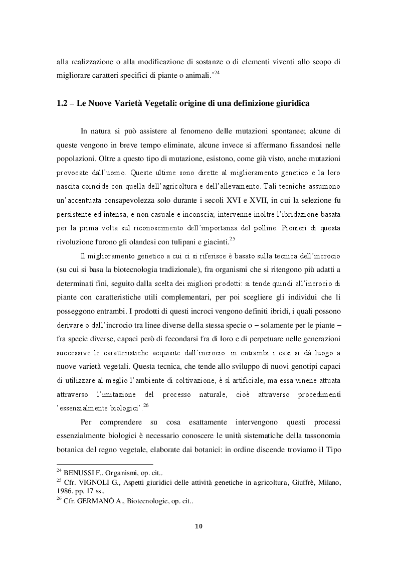 Estratto dalla tesi: Protezione della biodiversità agricola e tutela degli agricoltori dall'Hold-Up brevettuale: il caso degli OGM