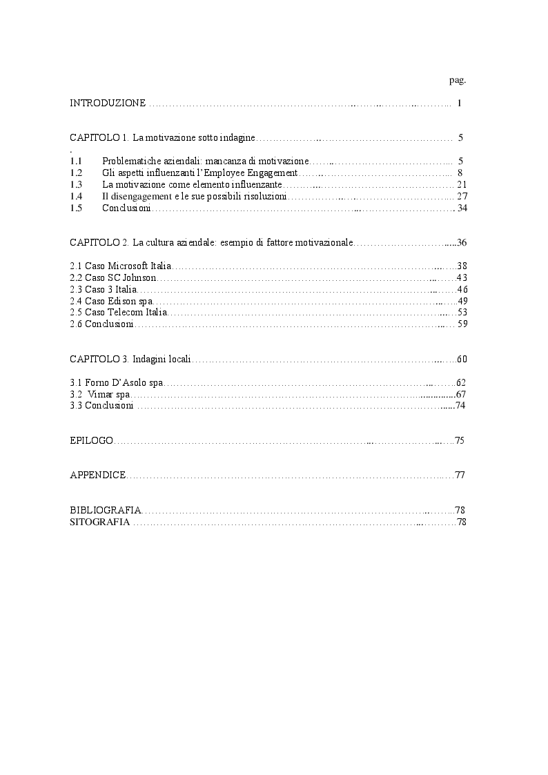 Indice della tesi: Il ruolo della motivazione nell'azienda, Pagina 1