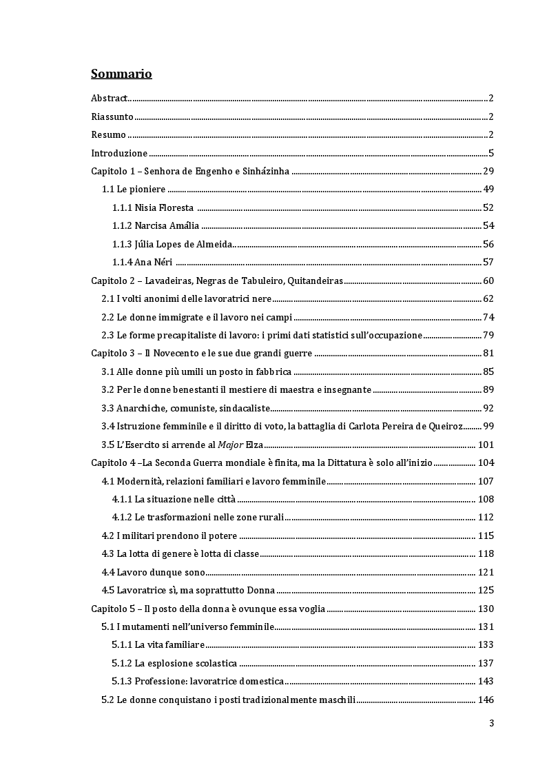 Indice della tesi: Il Brasile è Donna: i cambiamenti nelle relazioni familiari e la presenza femminile sul mercato del lavoro., Pagina 1