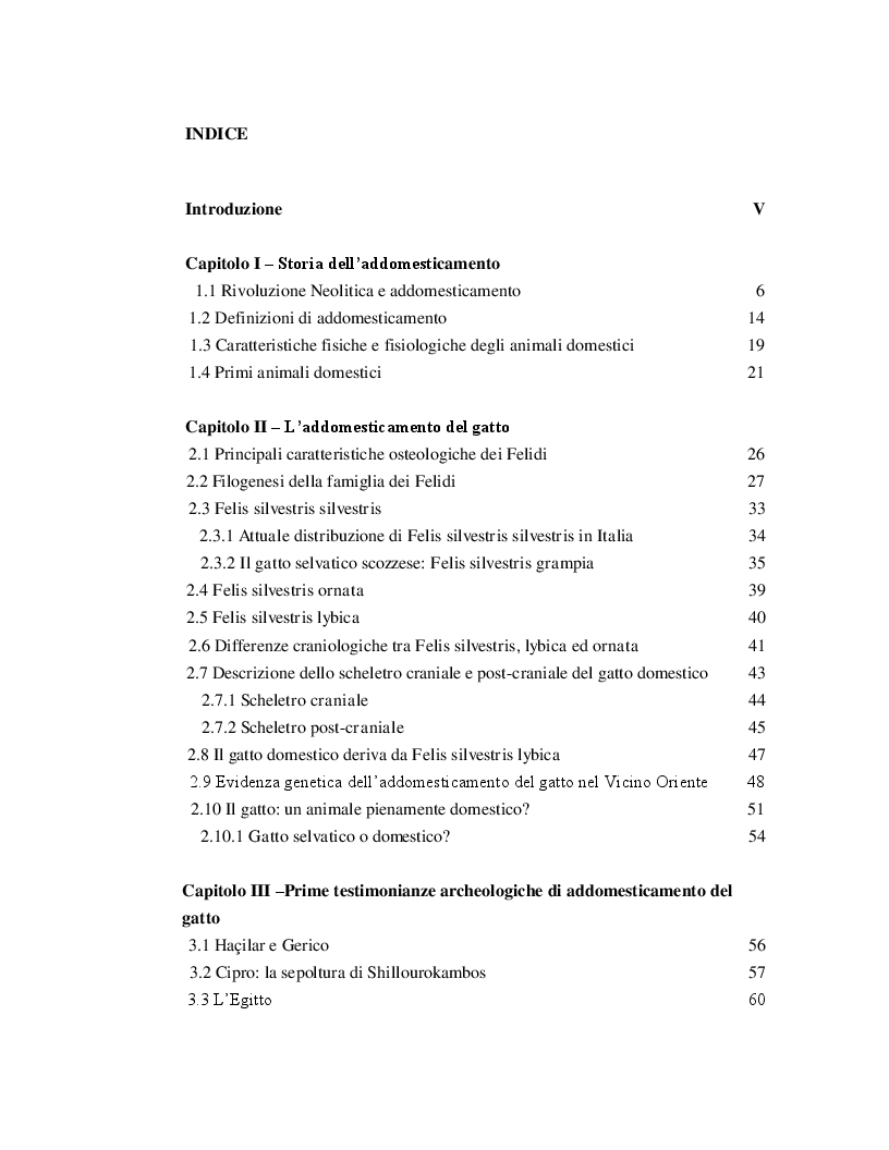 Indice della tesi: Origini ed evoluzione del gatto domestico nel Mediterraneo, Pagina 1
