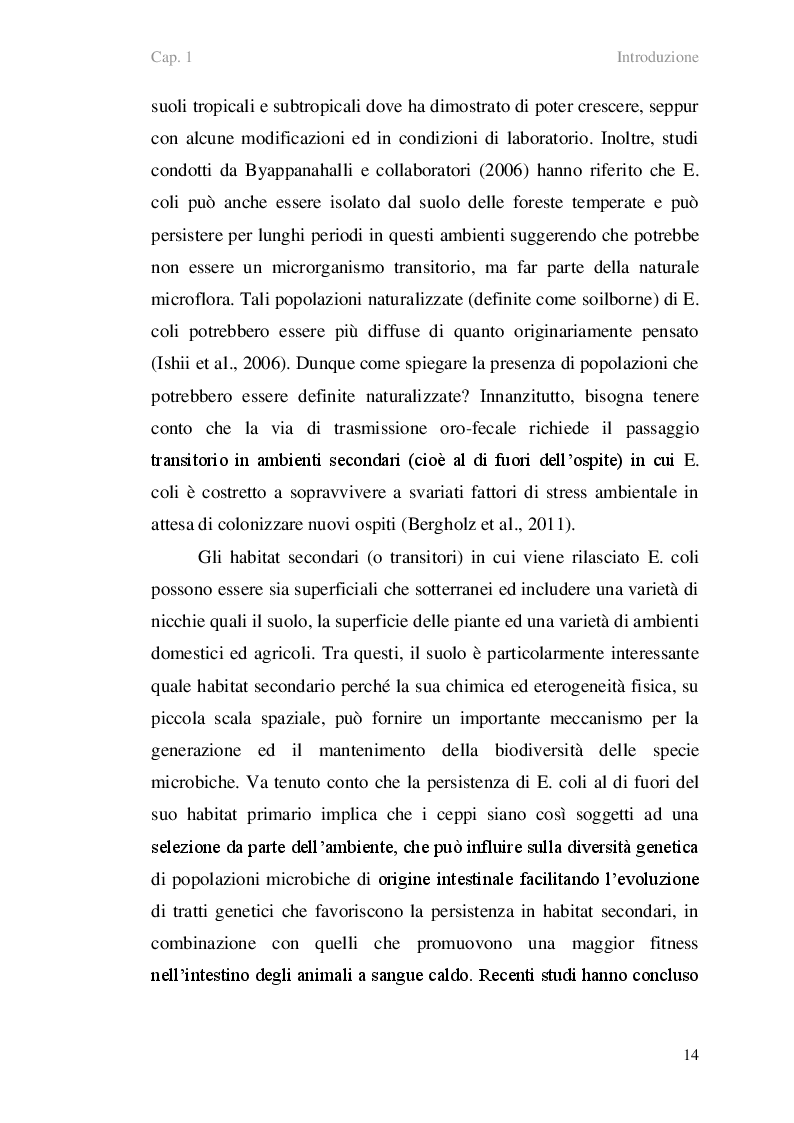 Estratto dalla tesi: Ceppi di Escherichia coli isolati da sedimenti marini: diversità genetica, metallo-resistenza e produzione di biofilm