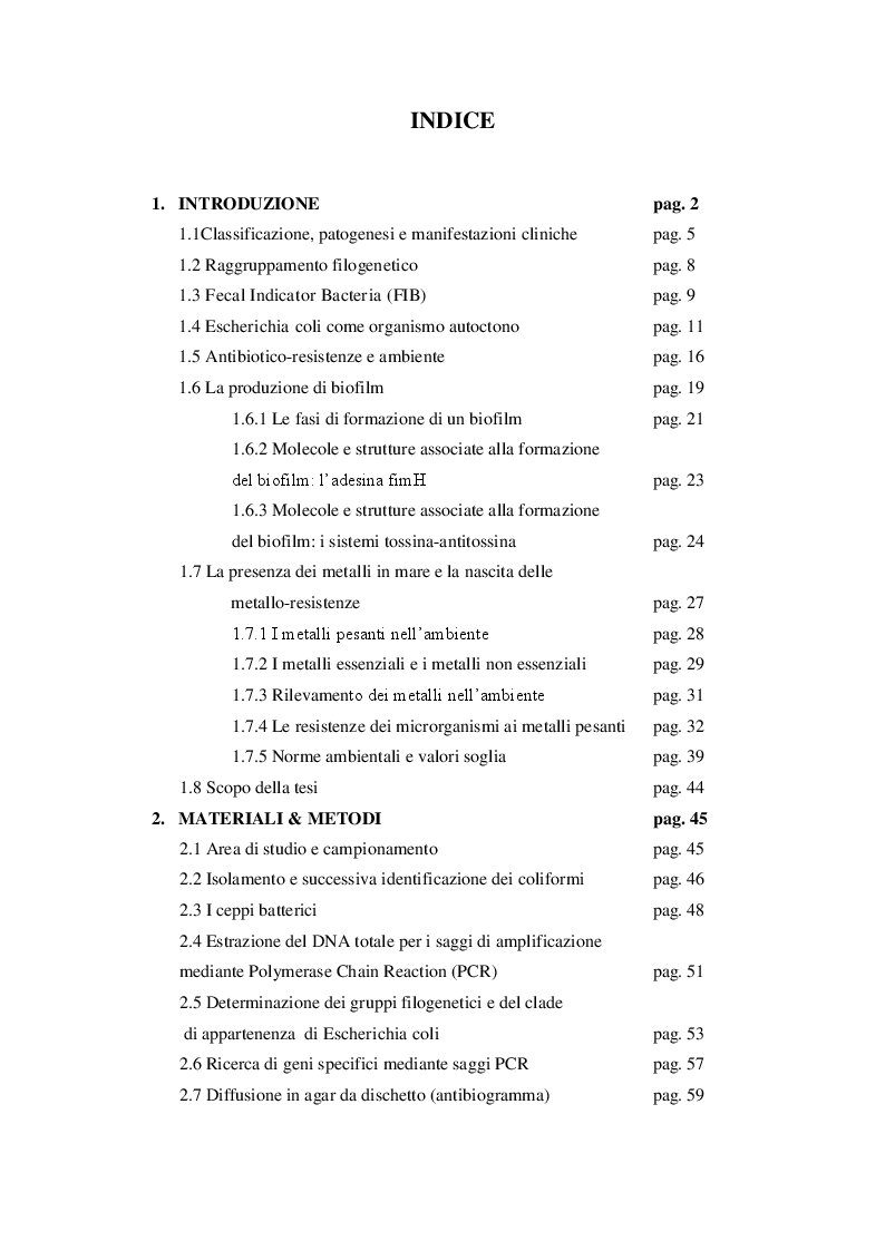 Indice della tesi: Ceppi di Escherichia coli isolati da sedimenti marini: diversità genetica, metallo-resistenza e produzione di biofilm, Pagina 1