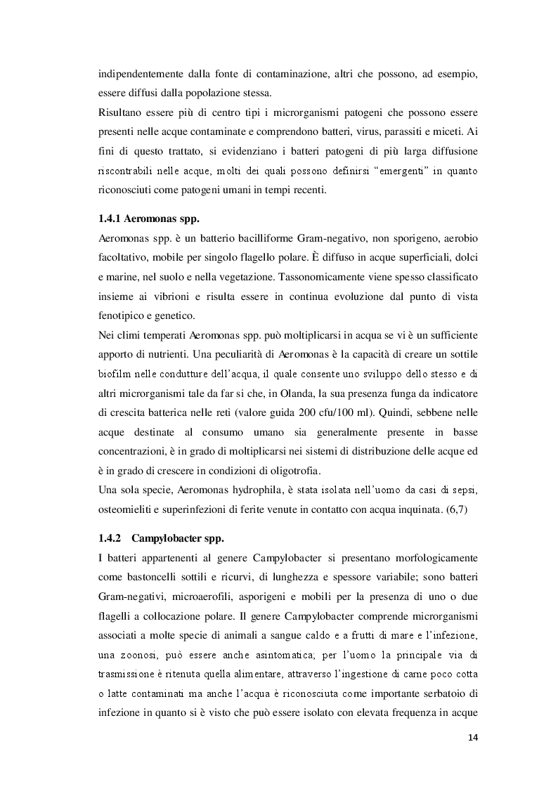 Estratto dalla tesi: L'analisi microbiologica delle acque destinate al benessere dell'uomo: la diffusione di Legionella pneumophila nelle strutture dell'Emilia-Romagna